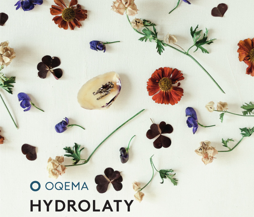 Hydrolaty - nowy katalog